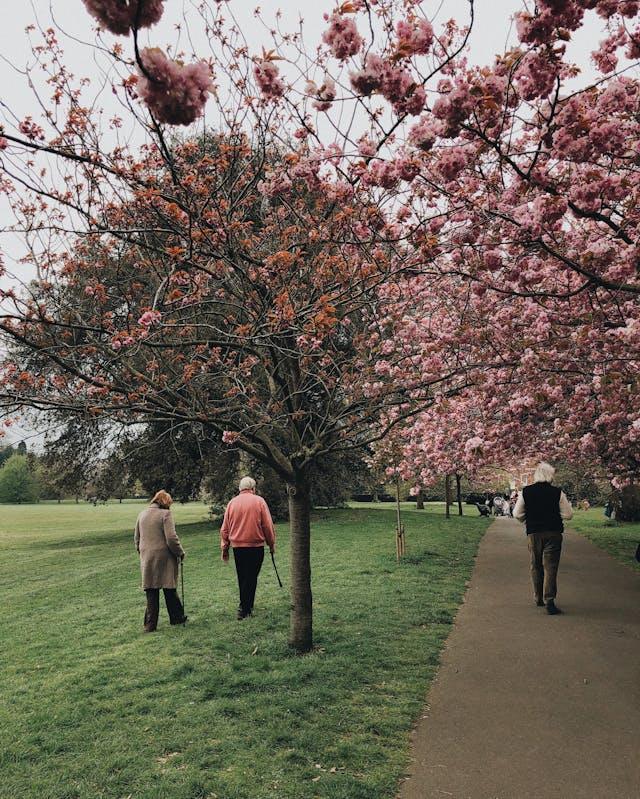 Seniors Walking in Park